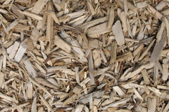 biomass boilers Crabtree Green